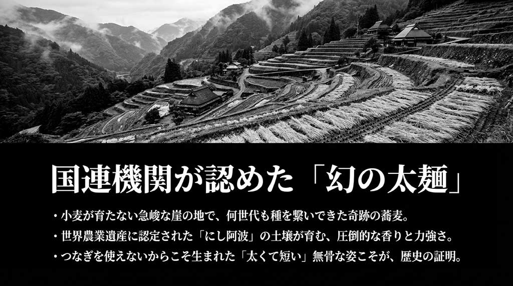 祖谷そばの歴史解説。世界農業遺産「にし阿波」の急峻な地形で育まれた太麺の魅力を紹介