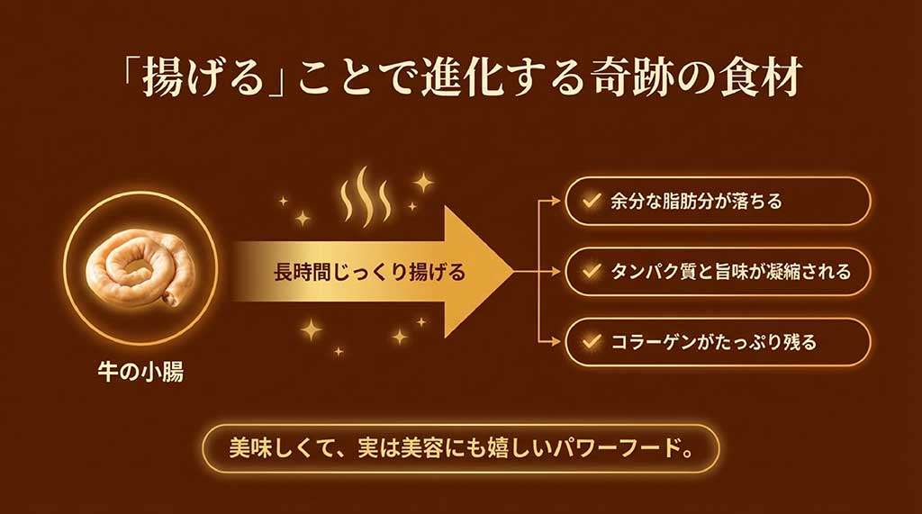 牛の小腸を長時間じっくり揚げることで脂肪を落とし、コラーゲンとタンパク質を凝縮させた油かすの栄養解説